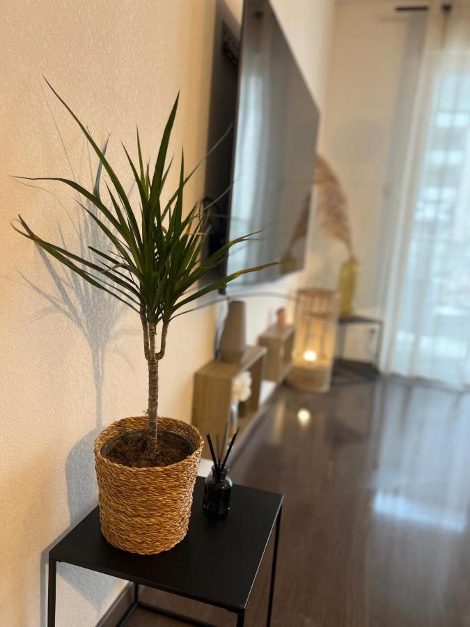 T2 Cosy Ajaccio Apartment Ajaccio  Ngoại thất bức ảnh