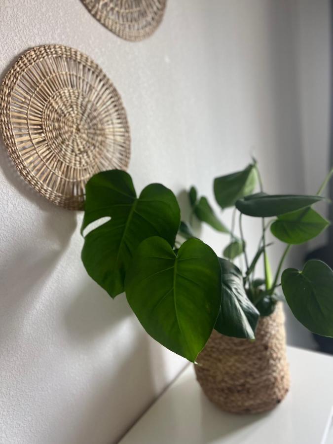 T2 Cosy Ajaccio Apartment Ajaccio  Ngoại thất bức ảnh